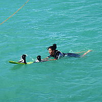 Wsct 2009 72 20120929 1375859511