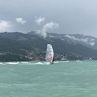 IMG 0179