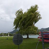 P1100472