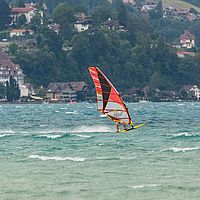 Ober (31)