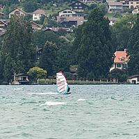 Ober (10)