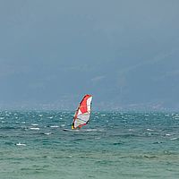 Ober (13)