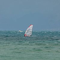Ober (14)