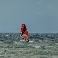 Ober (37)
