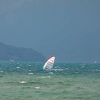 Ober (3)