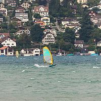Ober (41)