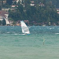 Ober (42)