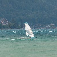 Ober (43)